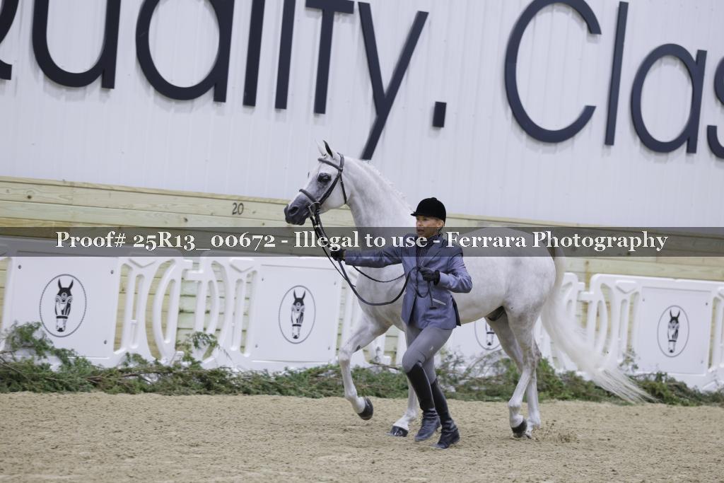 Proof 25R13_00672