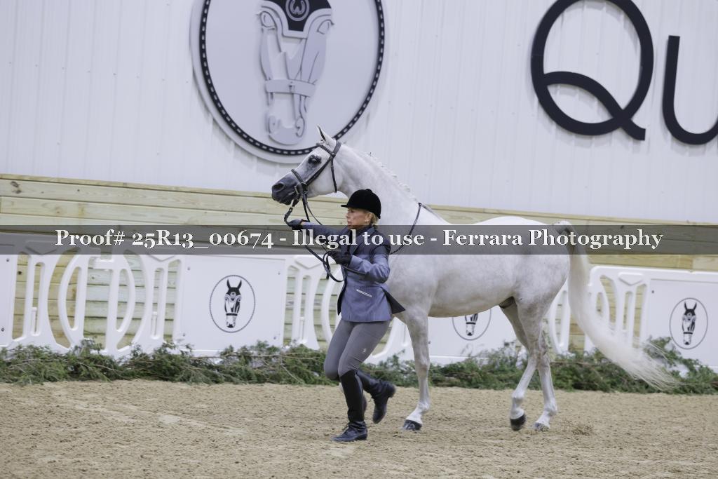Proof 25R13_00674
