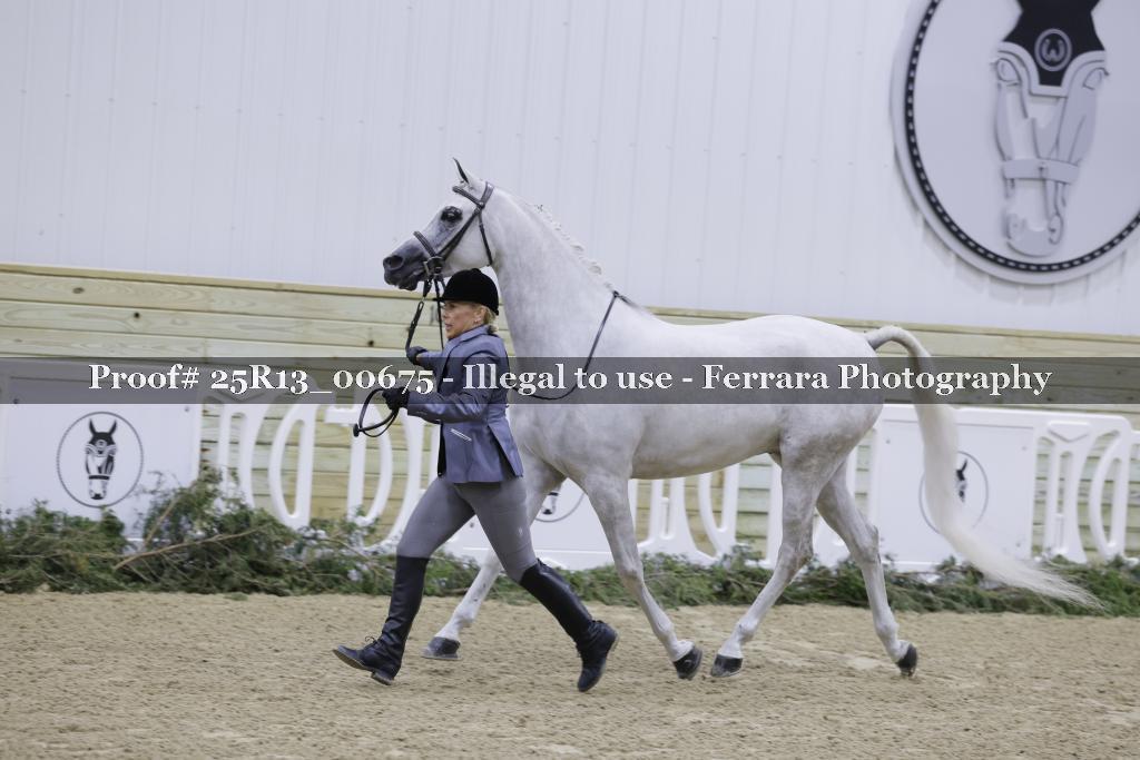 Proof 25R13_00675