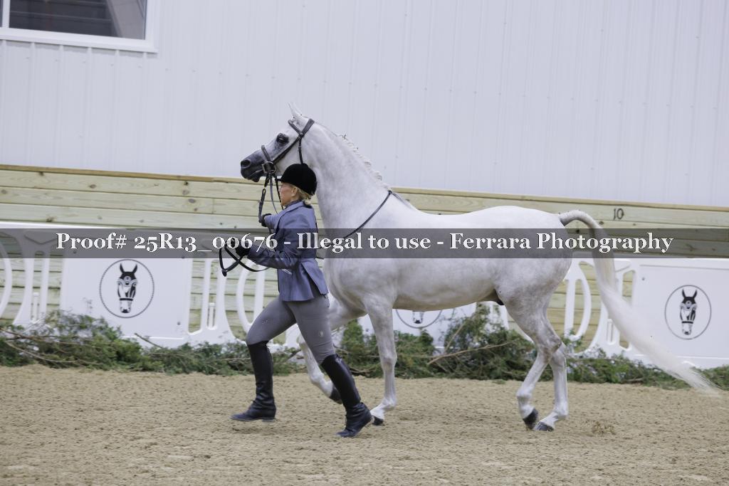 Proof 25R13_00676