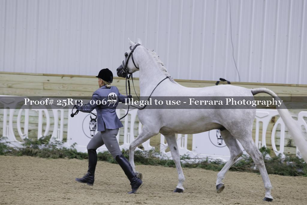 Proof 25R13_00677