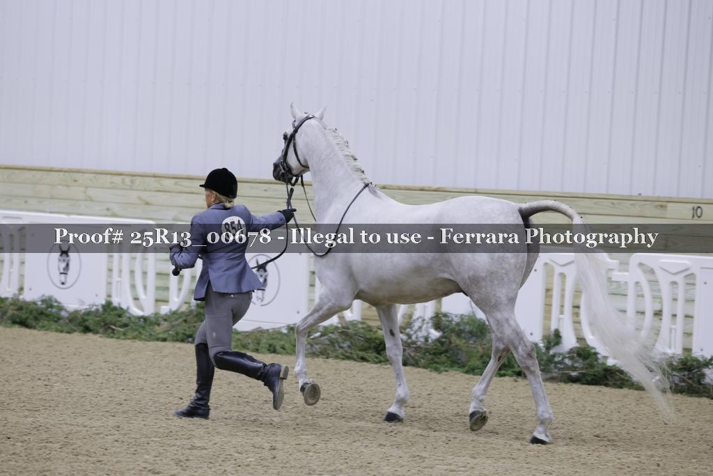Proof 25R13_00678