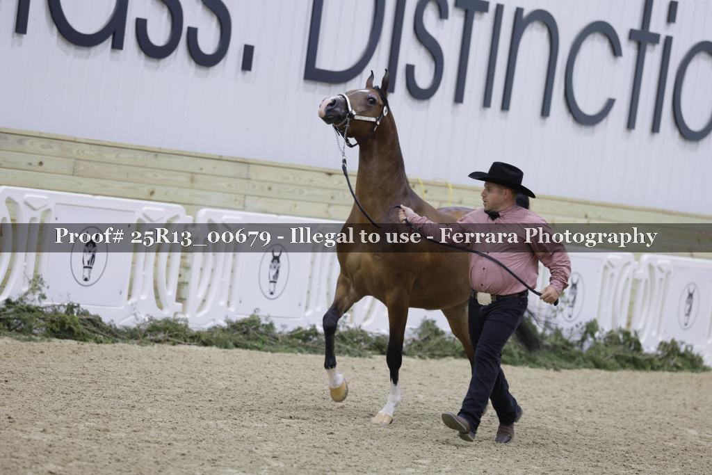 Proof 25R13_00679