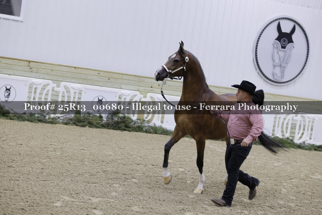 Proof 25R13_00680