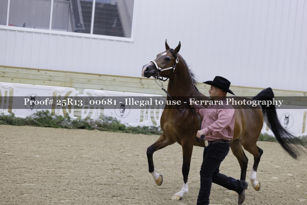 Proof 25R13_00681