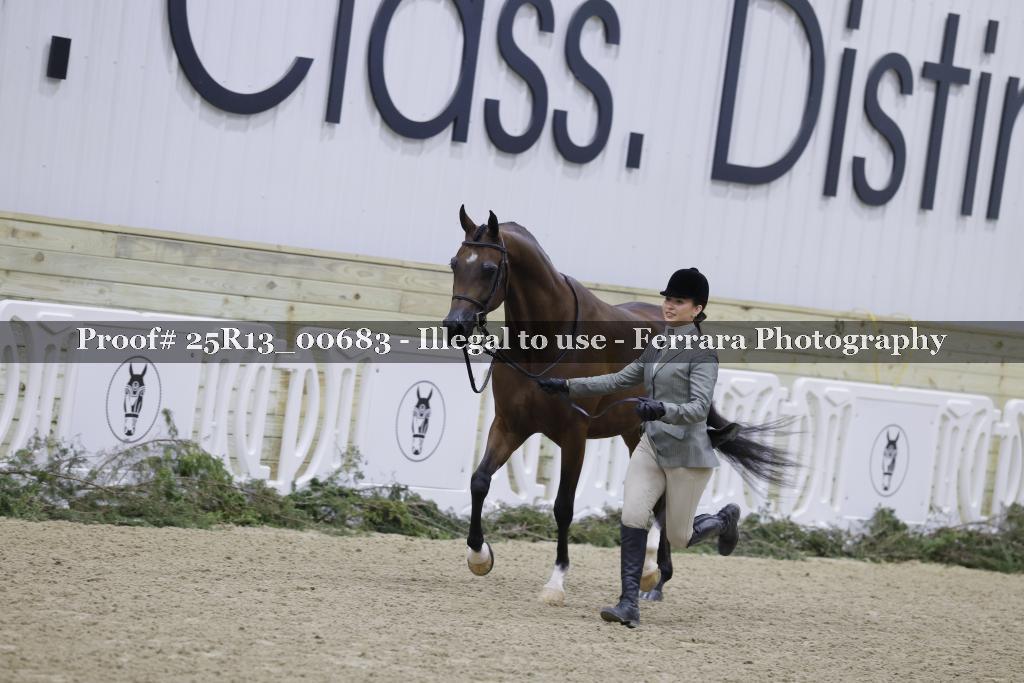 Proof 25R13_00683