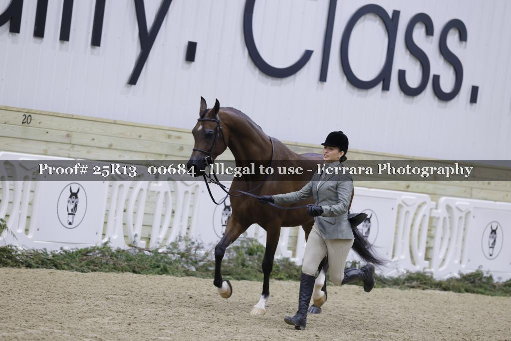 Proof 25R13_00684