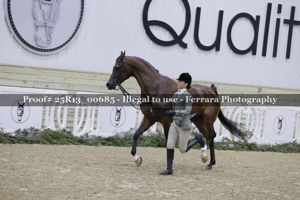 Proof 25R13_00685