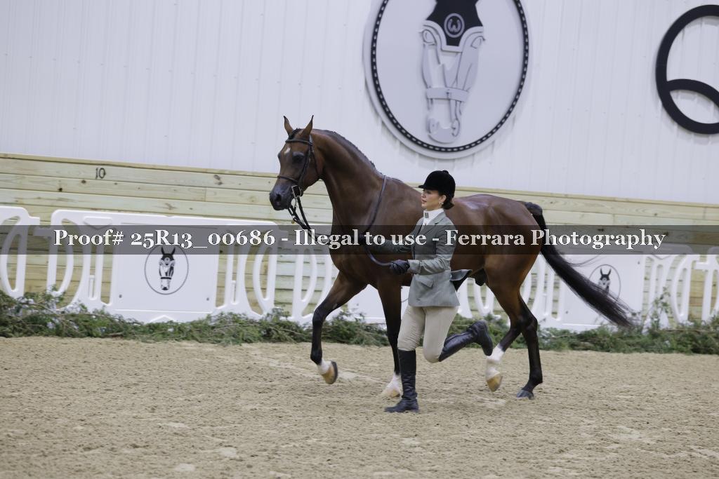 Proof 25R13_00686