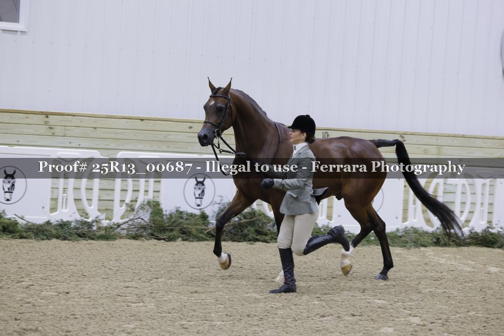 Proof 25R13_00687