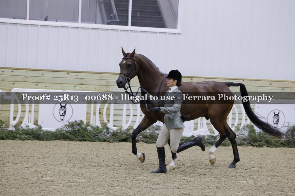 Proof 25R13_00688