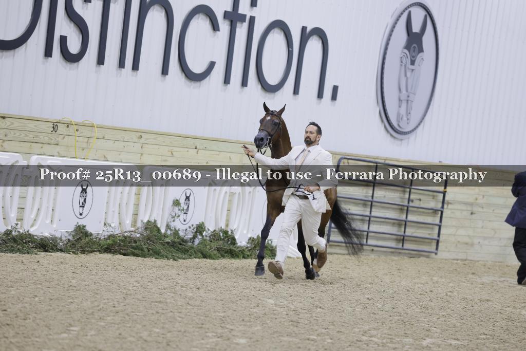 Proof 25R13_00689