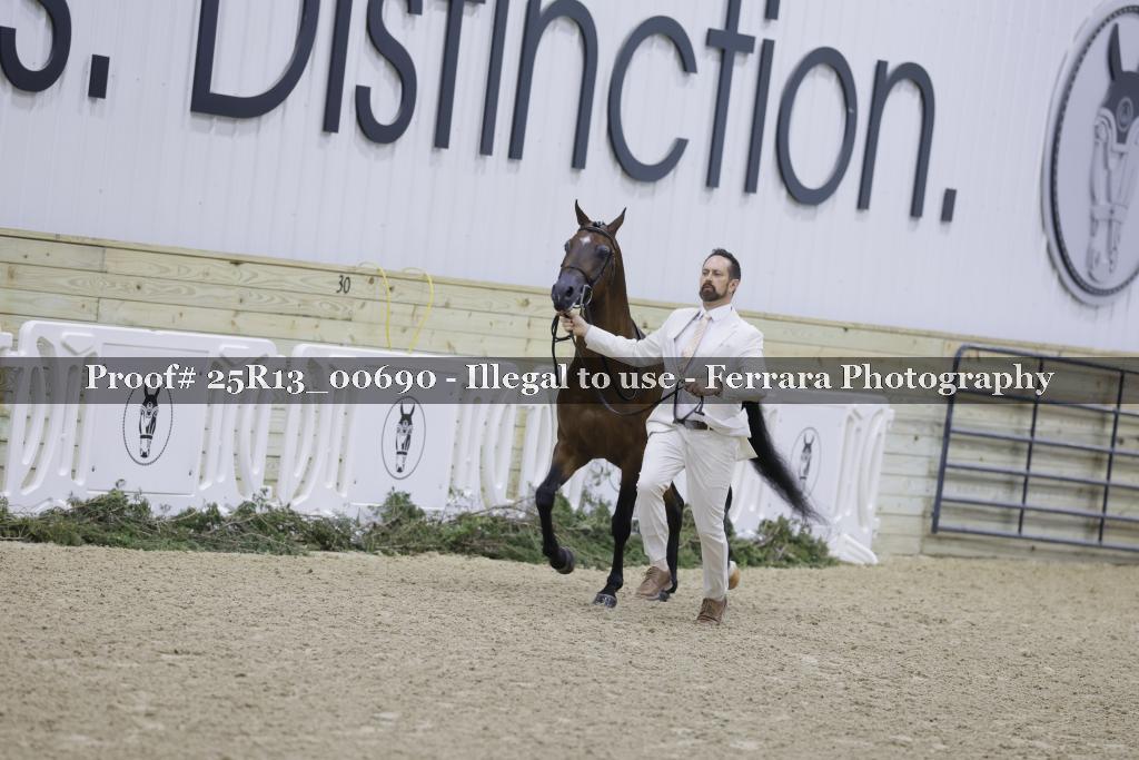 Proof 25R13_00690