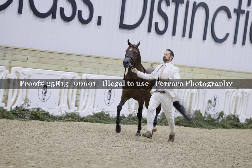 Proof 25R13_00691