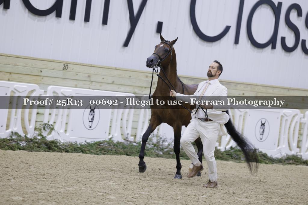 Proof 25R13_00692