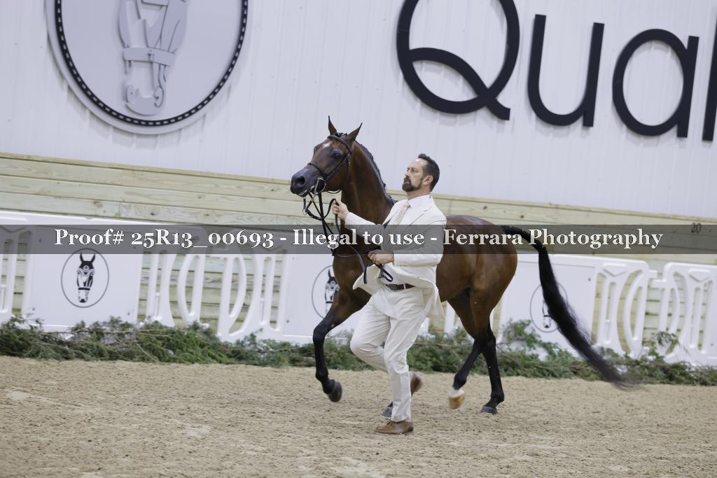 Proof 25R13_00693