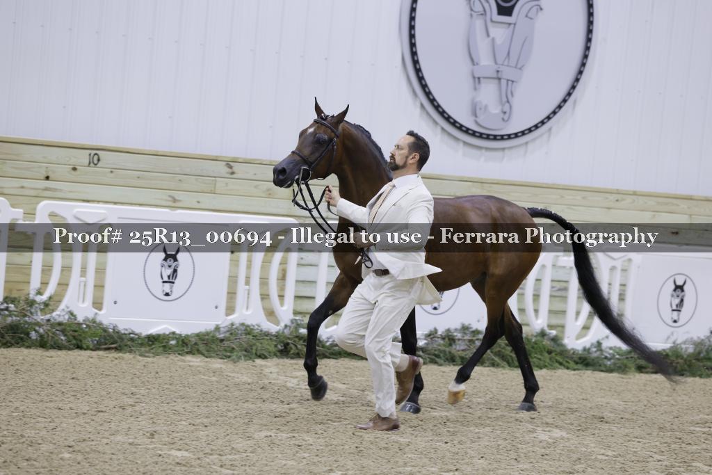 Proof 25R13_00694