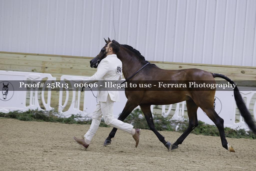 Proof 25R13_00696