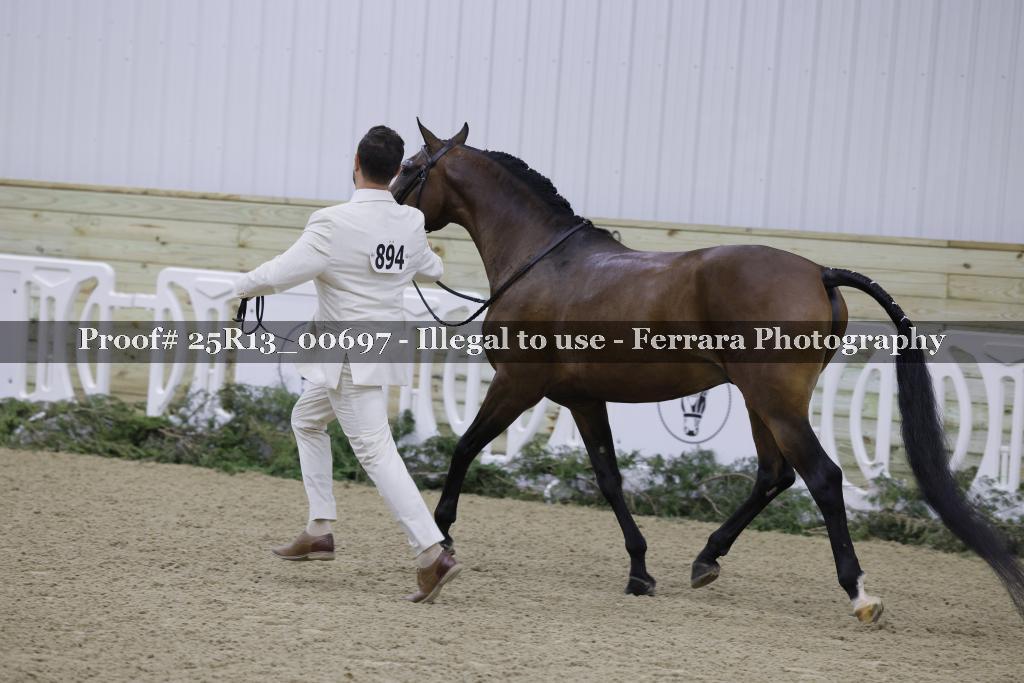 Proof 25R13_00697