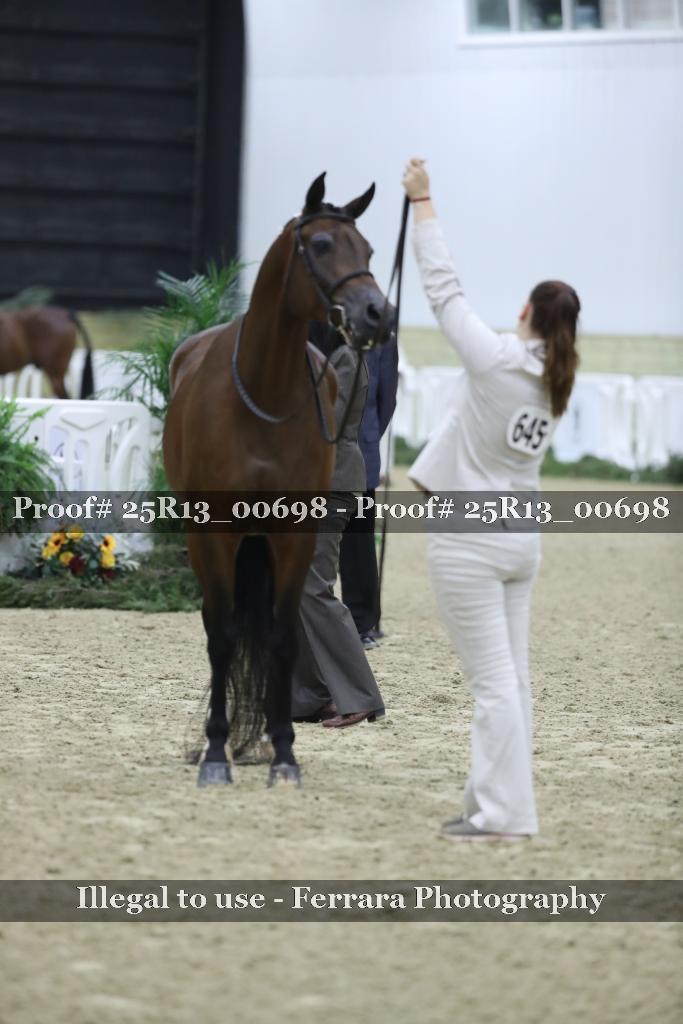 Proof 25R13_00698