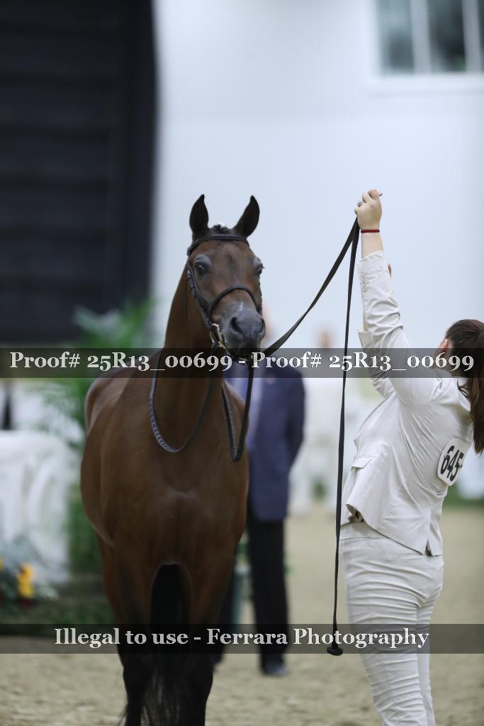 Proof 25R13_00699