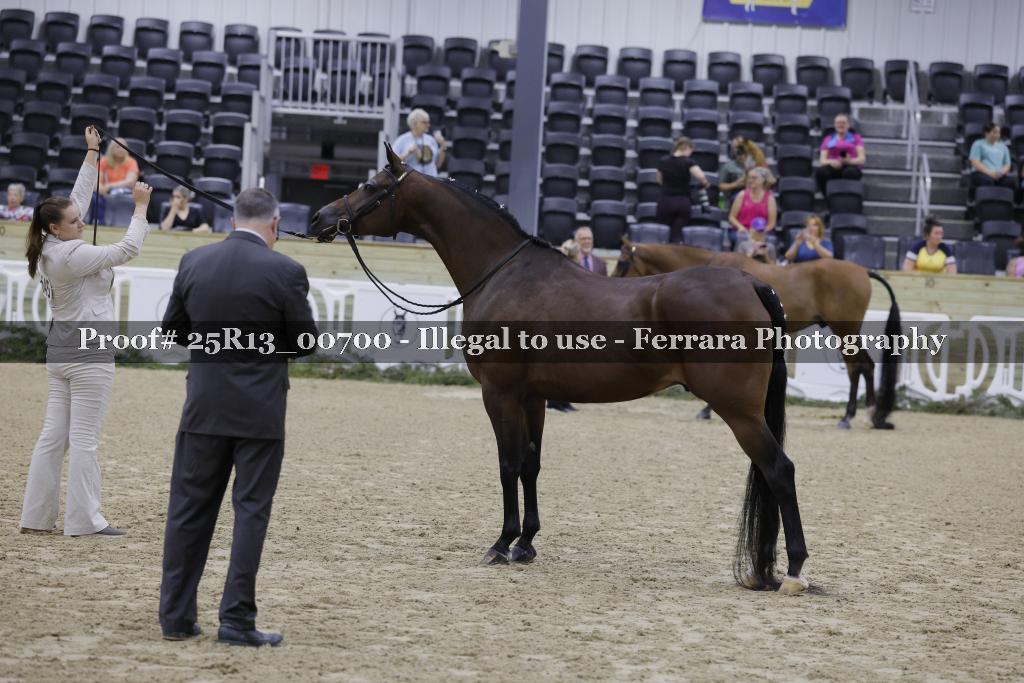 Proof 25R13_00700