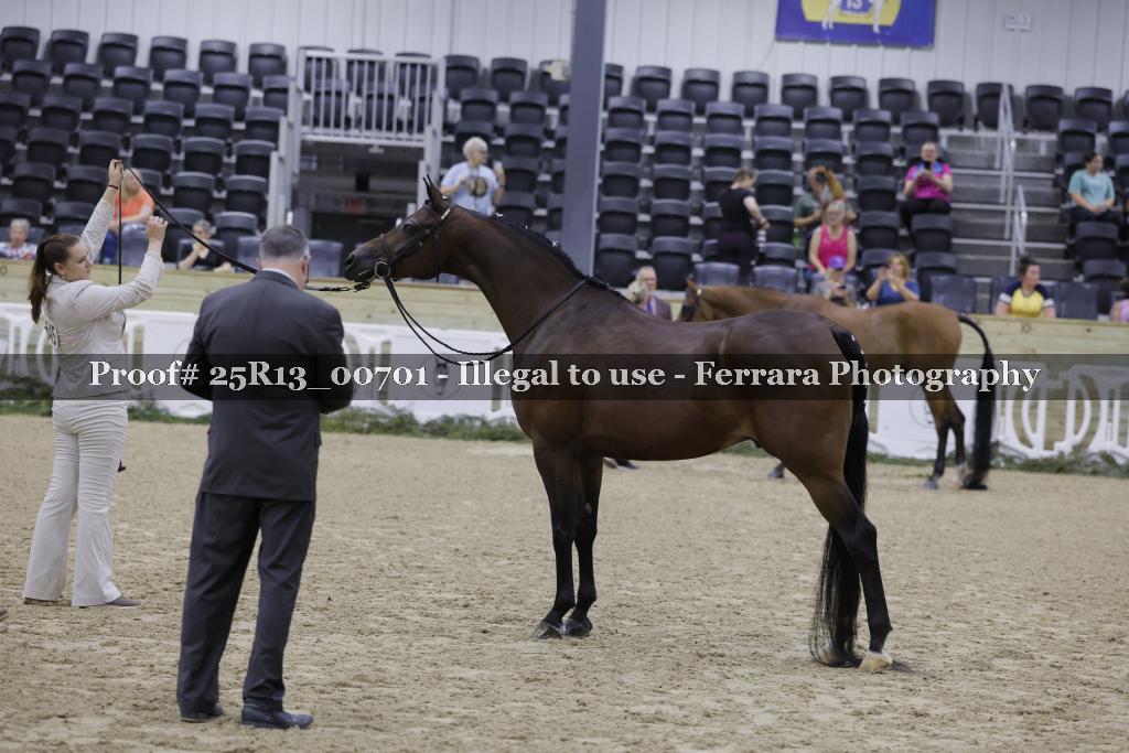 Proof 25R13_00701