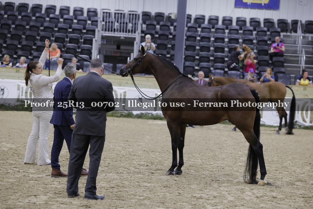 Proof 25R13_00702