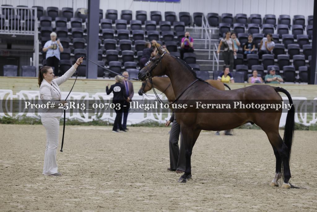 Proof 25R13_00703