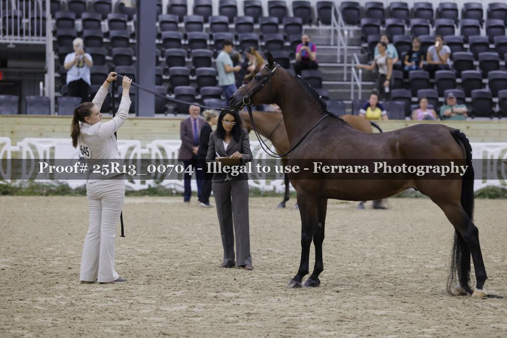 Proof 25R13_00704