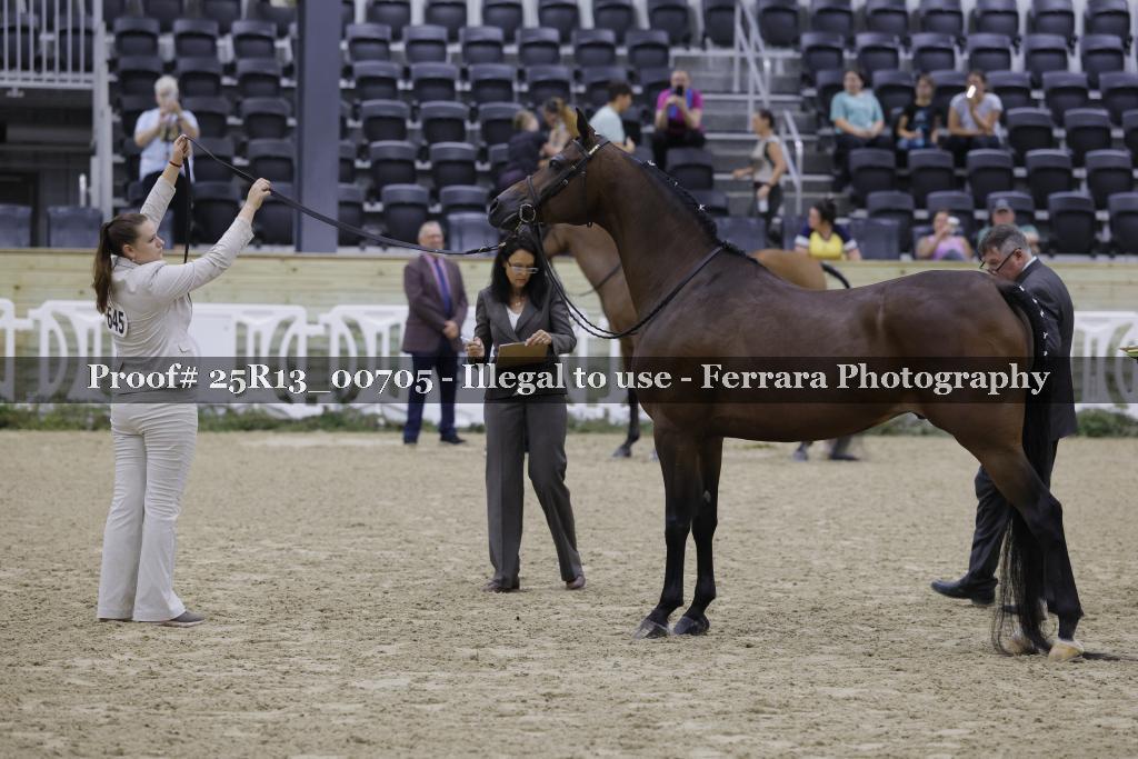Proof 25R13_00705