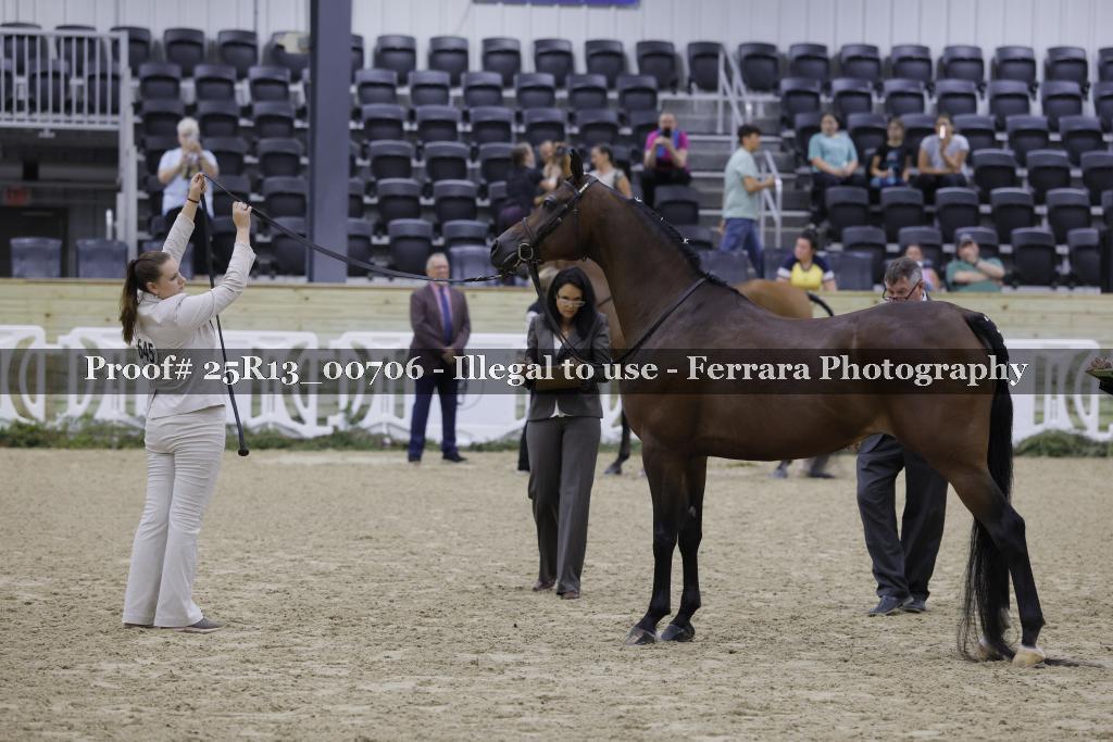 Proof 25R13_00706