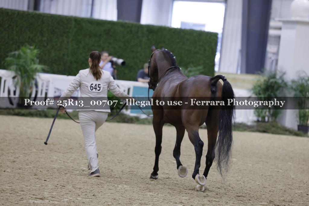 Proof 25R13_00707