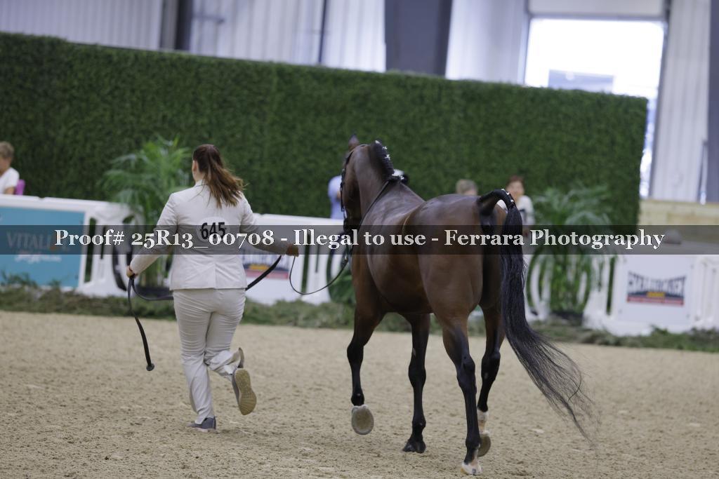 Proof 25R13_00708