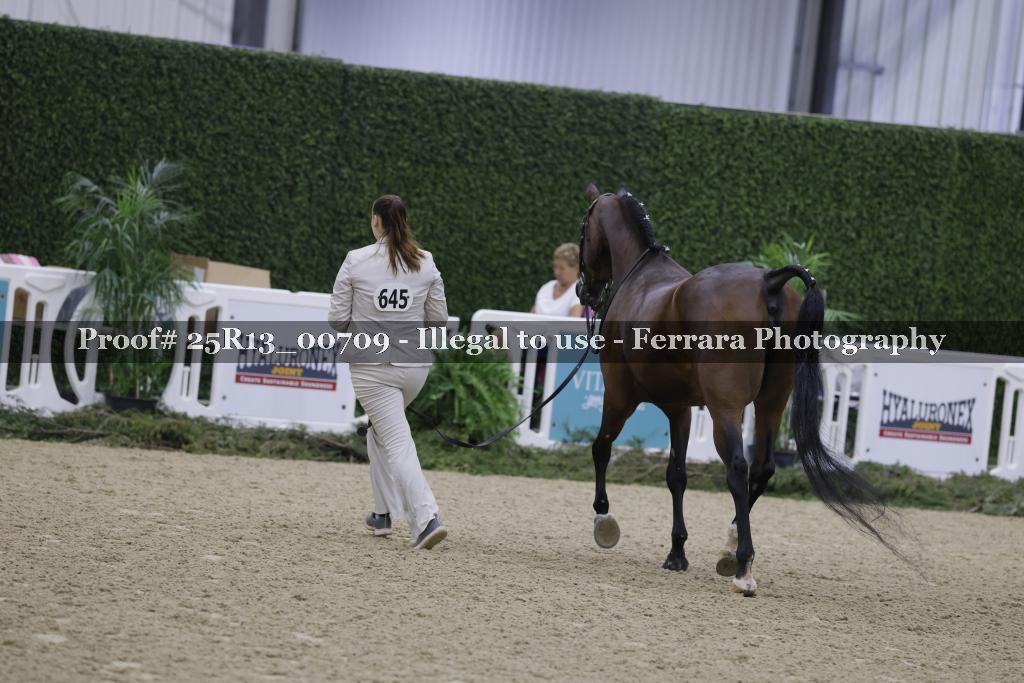 Proof 25R13_00709