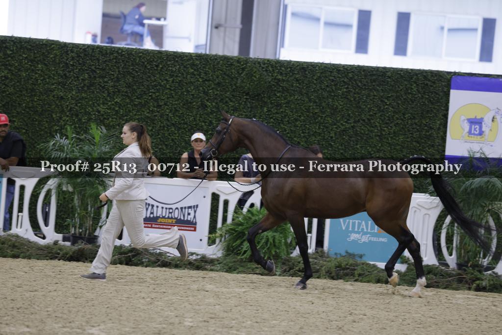 Proof 25R13_00712