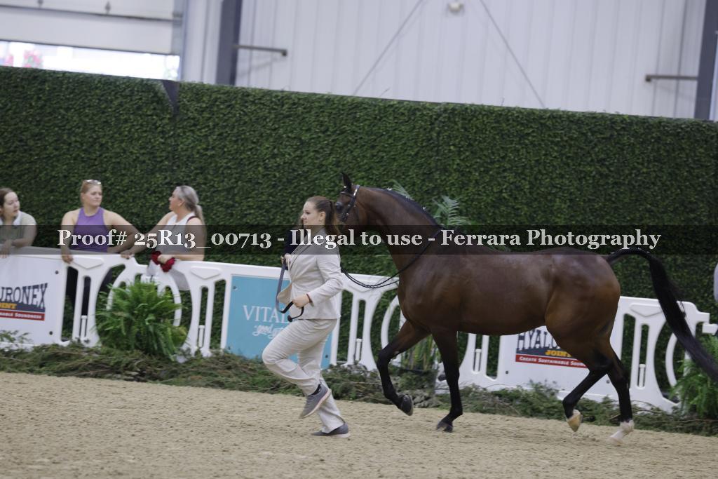 Proof 25R13_00713