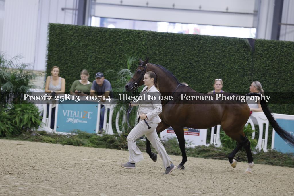 Proof 25R13_00714