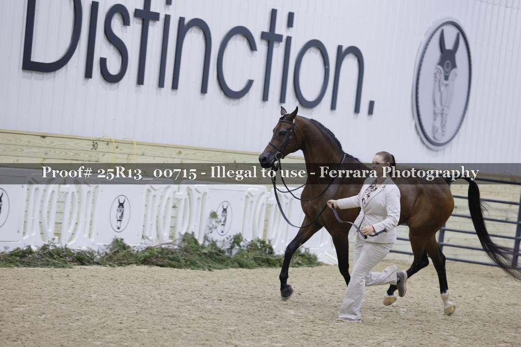 Proof 25R13_00715