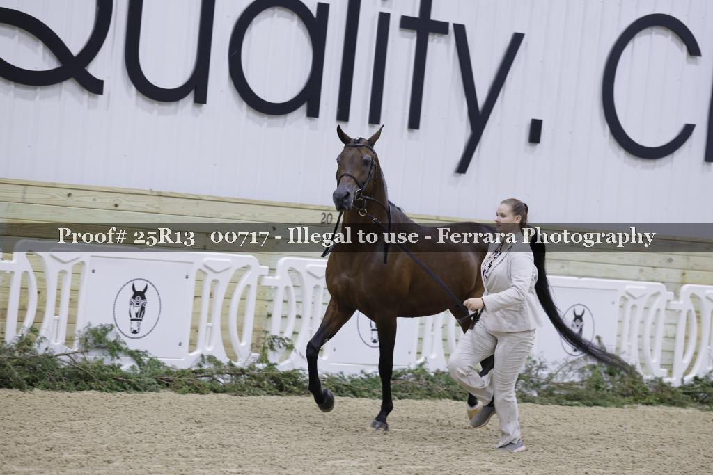 Proof 25R13_00717