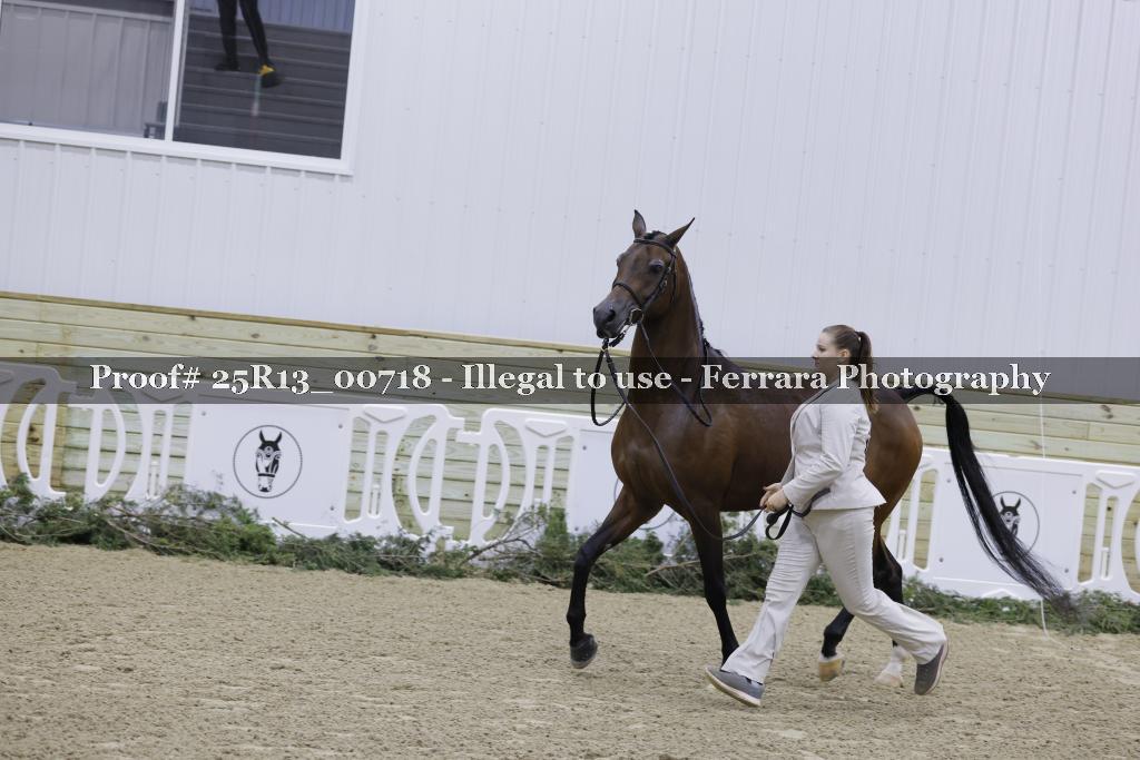 Proof 25R13_00718