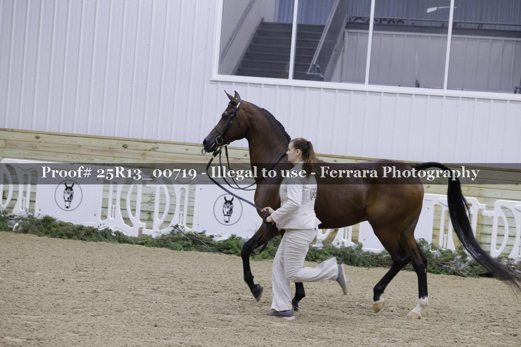 Proof 25R13_00719