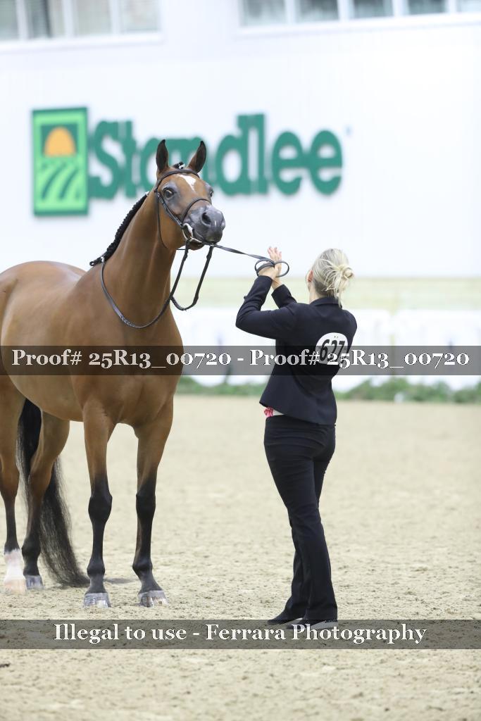 Proof 25R13_00720