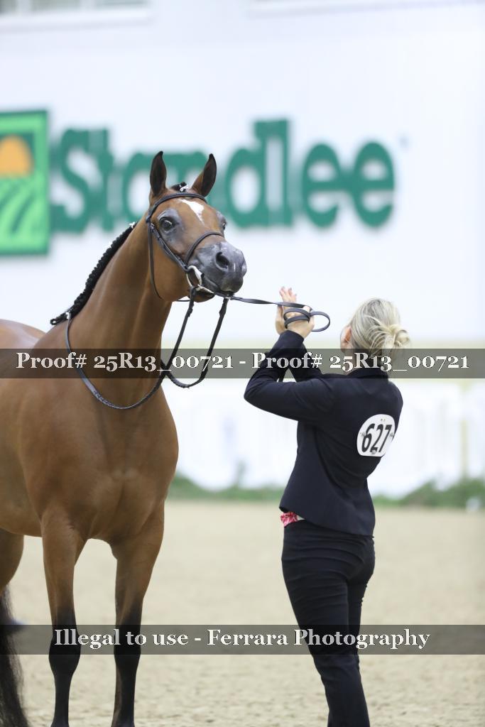 Proof 25R13_00721