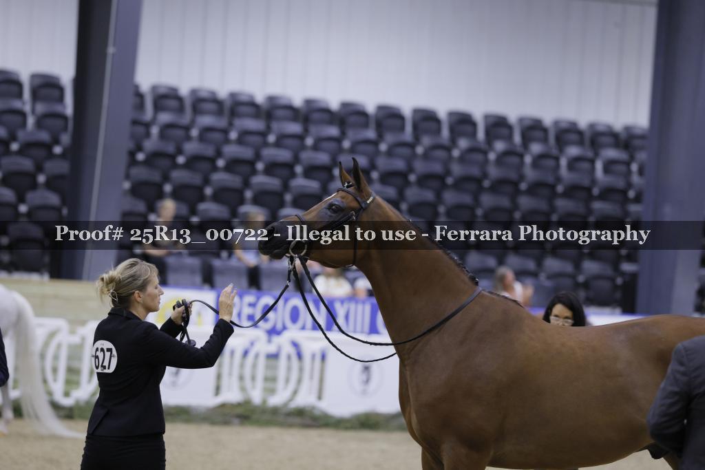 Proof 25R13_00722