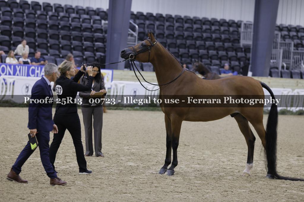 Proof 25R13_00723