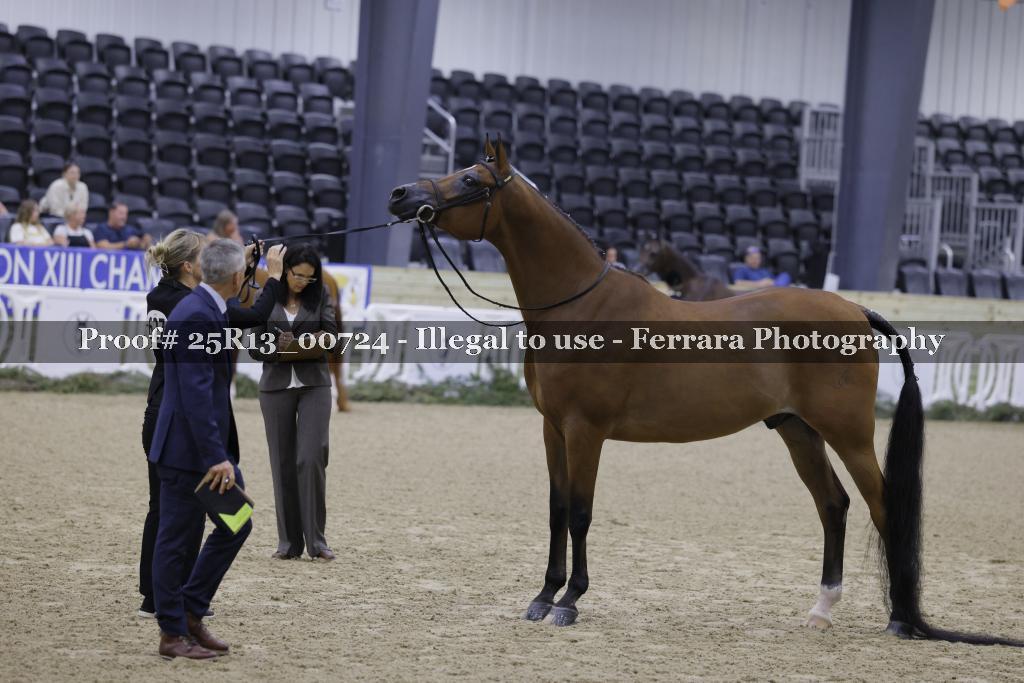 Proof 25R13_00724