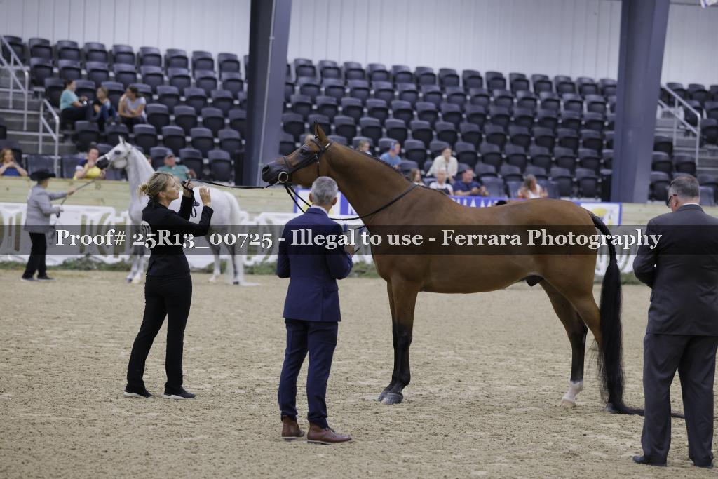 Proof 25R13_00725