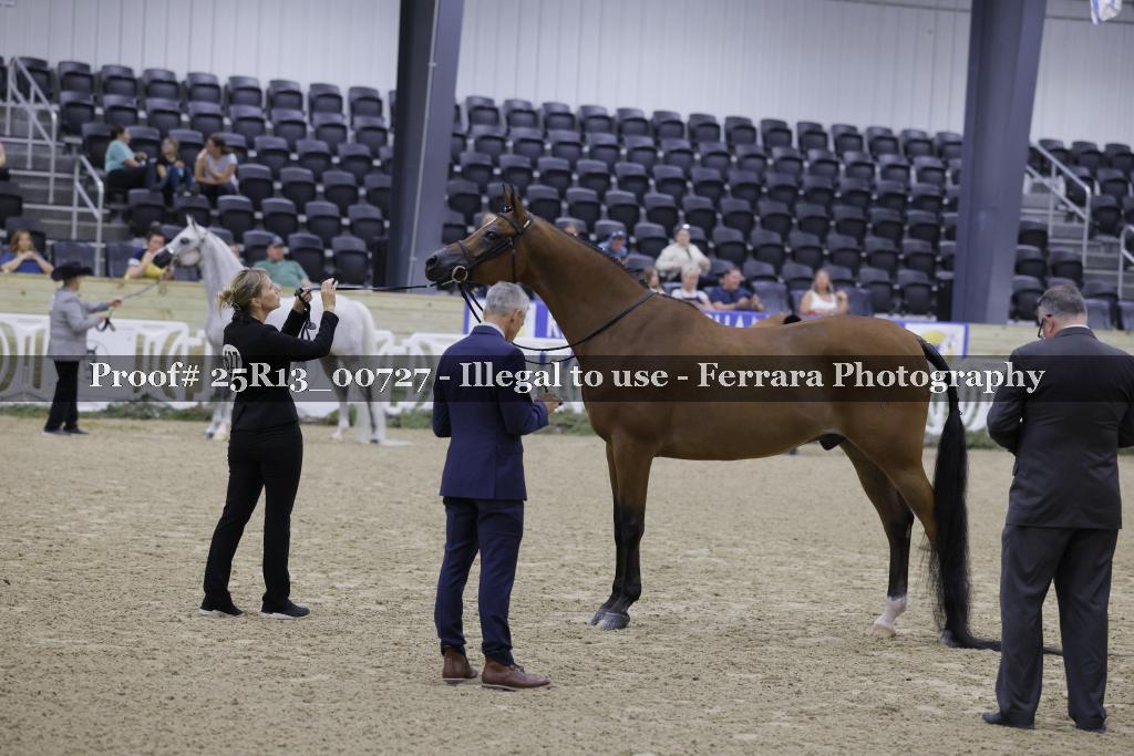 Proof 25R13_00727