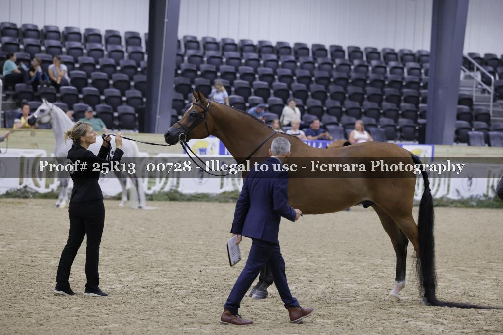 Proof 25R13_00728